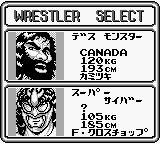 Pro Wrestling Screenthot 2